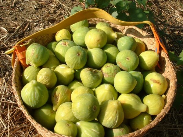 Immagine raffigurante fichi posti su un piatto