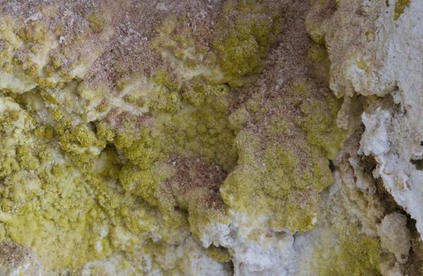 Incrostazioni di zolfo Incrostazioni sulfuree sulla roccia